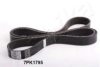 NISSA 1195000Q0B V-Ribbed Belts